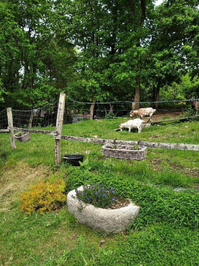 מורלה Maison Dans Un Environnement Boise Tres Calme מראה חיצוני תמונה