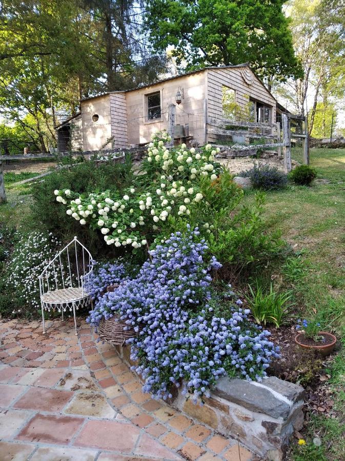 מורלה Maison Dans Un Environnement Boise Tres Calme מראה חיצוני תמונה