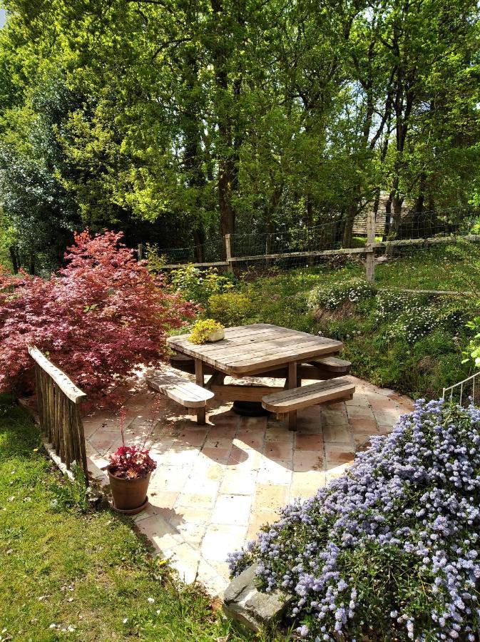 מורלה Maison Dans Un Environnement Boise Tres Calme מראה חיצוני תמונה