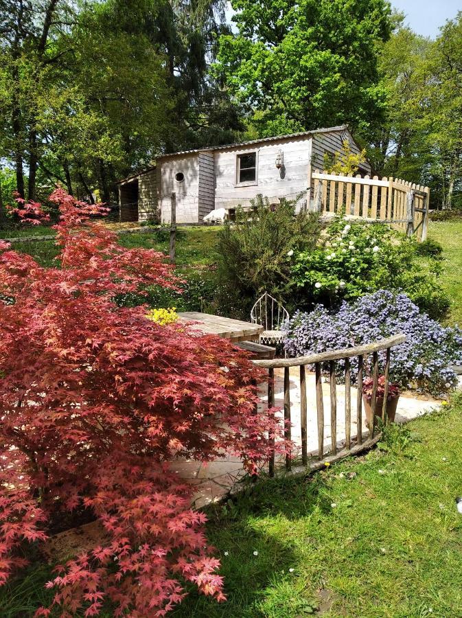 מורלה Maison Dans Un Environnement Boise Tres Calme מראה חיצוני תמונה