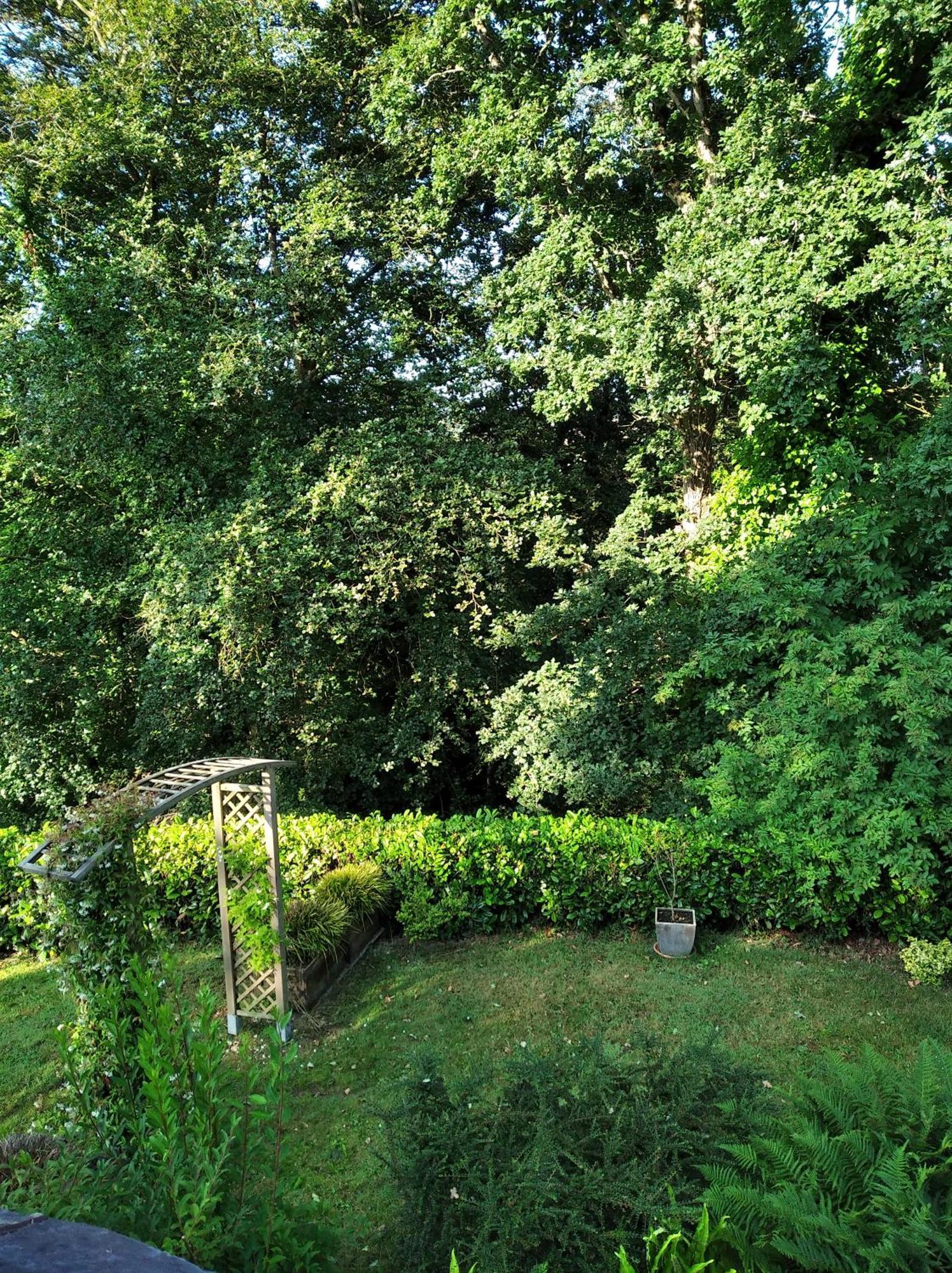 מורלה Maison Dans Un Environnement Boise Tres Calme מראה חיצוני תמונה