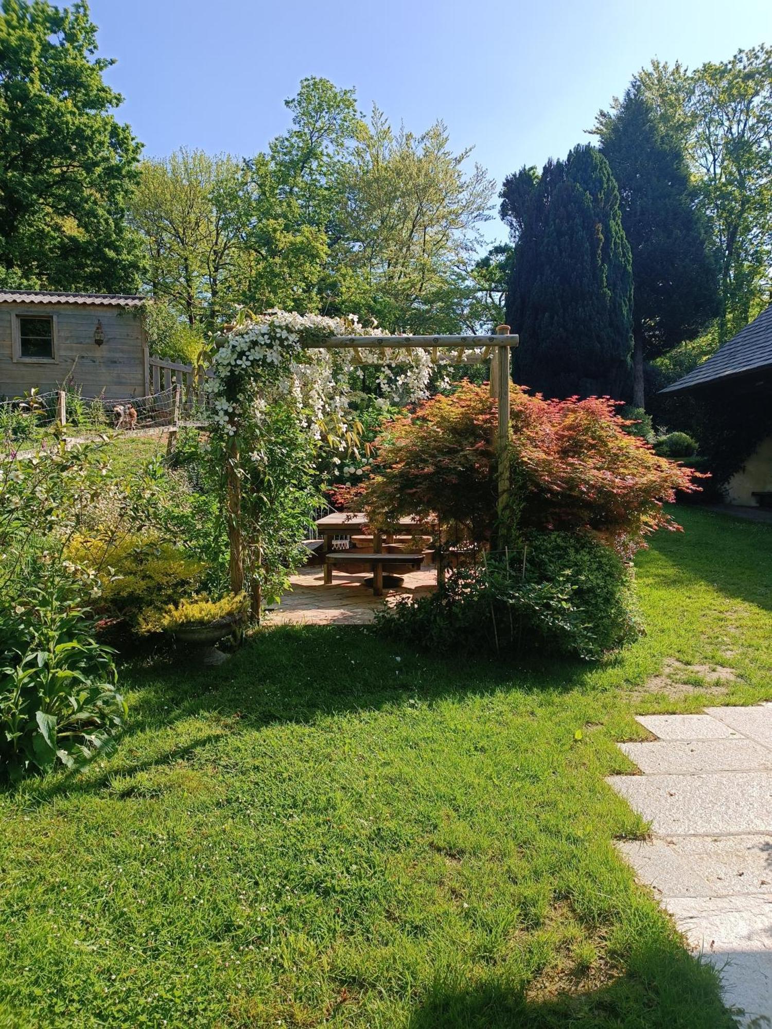 מורלה Maison Dans Un Environnement Boise Tres Calme מראה חיצוני תמונה