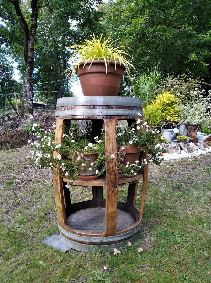 מורלה Maison Dans Un Environnement Boise Tres Calme מראה חיצוני תמונה